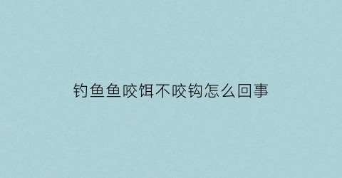 钓鱼鱼咬饵不咬钩怎么回事(钓鱼鱼咬钩钓不上来)
