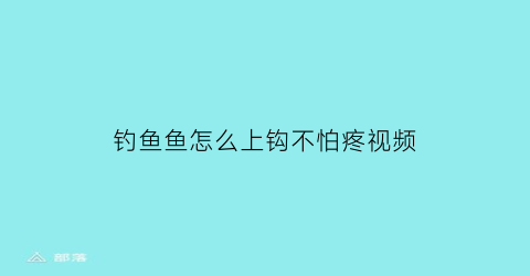 “钓鱼鱼怎么上钩不怕疼视频(钓鱼鱼怎么上钩不怕疼视频教学)