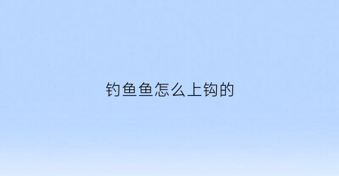 钓鱼鱼怎么上钩的(钓鱼上钩技巧)