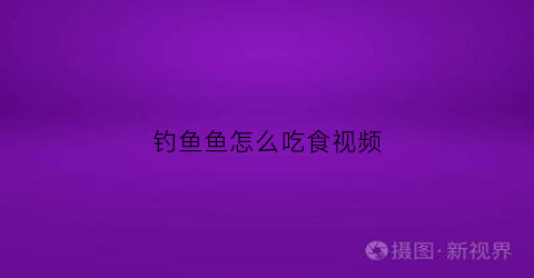 钓鱼鱼怎么吃食视频(钓鱼鱼怎么吃食视频讲解)