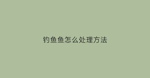 钓鱼鱼怎么处理方法(钓鱼新方法)