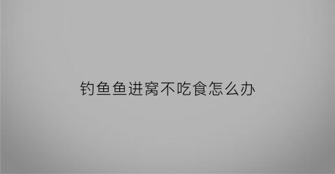 钓鱼鱼进窝不吃食怎么办(野钓大鱼不进窝)