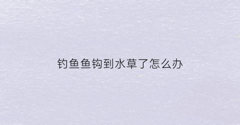 钓鱼鱼钩到水草了怎么办(鱼钩钩水草上怎么办)
