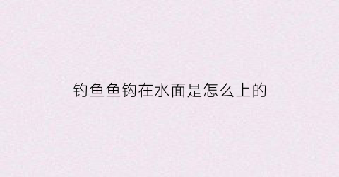 钓鱼鱼钩在水面是怎么上的(钓鱼钩在水底的状态视频)