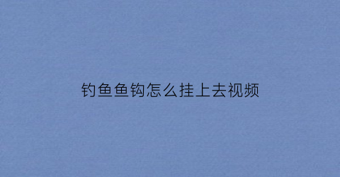 钓鱼鱼钩怎么挂上去视频(钓鱼鱼钩怎么挂鱼食)