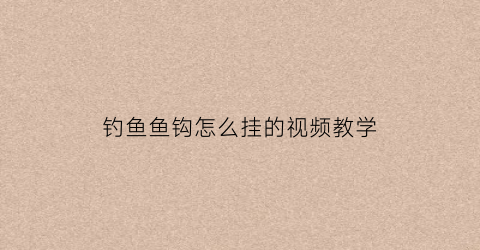 “钓鱼鱼钩怎么挂的视频教学(钓鱼鱼钩怎么挂的视频教学下载)