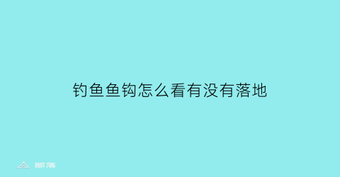 钓鱼鱼钩怎么看有没有落地(钓鱼怎么知道钩有没有到底)