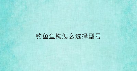 钓鱼鱼钩怎么选择型号(钓鱼鱼钩型号大小怎么选择)