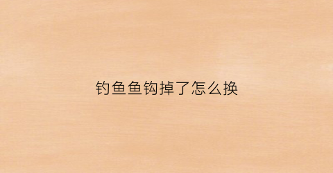 钓鱼鱼钩掉了怎么换(鱼钩掉地上找不到怎么办)