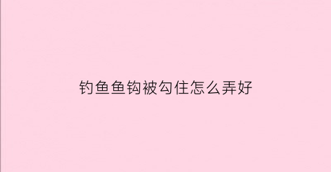 “钓鱼鱼钩被勾住怎么弄好(钓鱼鱼钩被勾住怎么弄好看)