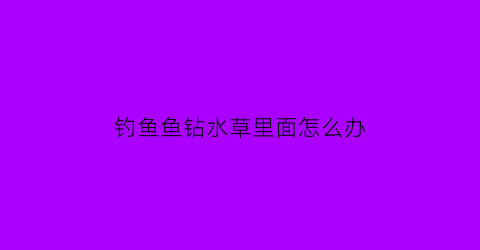 钓鱼鱼钻水草里面怎么办(钓鱼挂住水草怎么办)