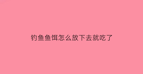 钓鱼鱼饵怎么放下去就吃了(钓鱼鱼饵放下去就没了)