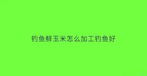 钓鱼鲜玉米怎么加工钓鱼好(鲜玉米钓饵的制作方法)