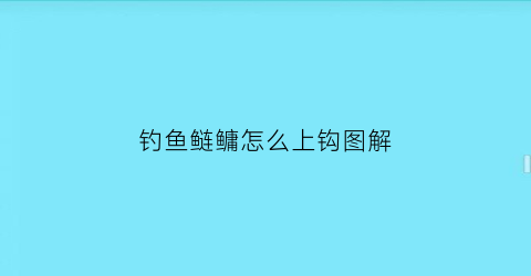 “钓鱼鲢鳙怎么上钩图解(钓鱼鲢鳙怎么上钩图解视频)