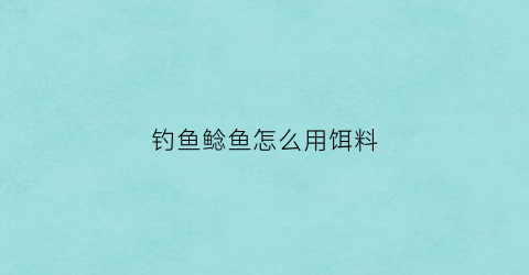 钓鱼鲶鱼怎么用饵料(钓鱼鲶鱼怎么用饵料打窝)