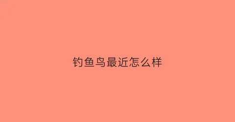 钓鱼鸟最近怎么样