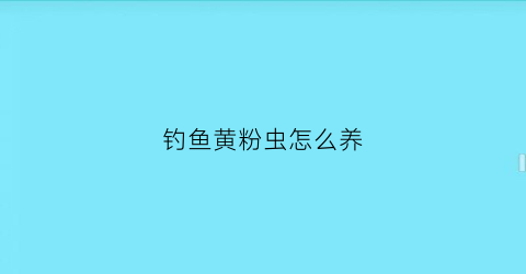 钓鱼黄粉虫怎么养(黄粉虫钓鲫鱼)