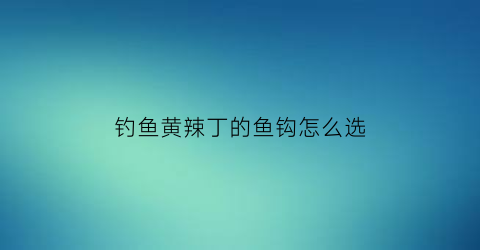 钓鱼黄辣丁的鱼钩怎么选(钓黄辣丁用大钩还是小钩)