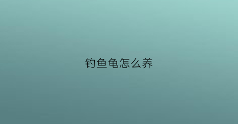 钓鱼龟怎么养