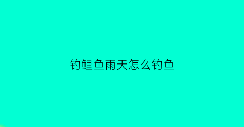 钓鲤鱼雨天怎么钓鱼(钓鲤鱼雨天怎么钓鱼视频)