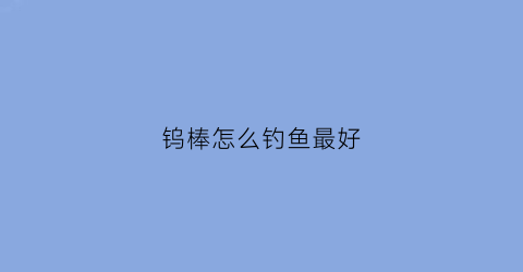 钨棒怎么钓鱼最好(钨棒怎么钓鱼最好用)