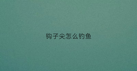 钩子尖怎么钓鱼(钩子尖怎么钓鱼效果好)