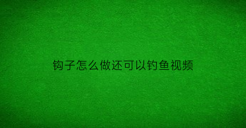 “钩子怎么做还可以钓鱼视频(钓鱼钩的钩子怎么做)