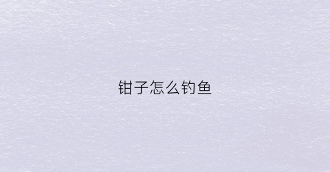 钳子怎么钓鱼(钓钳鱼的技巧)