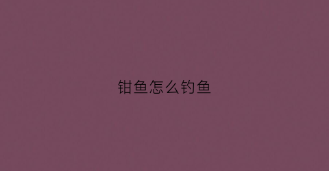 钳鱼怎么钓鱼(钳鱼用什么饵)