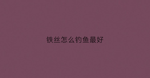 铁丝怎么钓鱼最好
