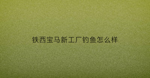 铁西宝马新工厂钓鱼怎么样(宝马铁西工厂附近小区)