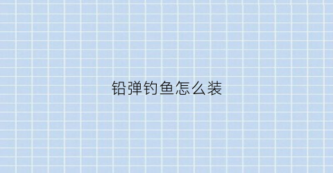 “铅弹钓鱼怎么装(铅弹钓鱼怎么装饵料)