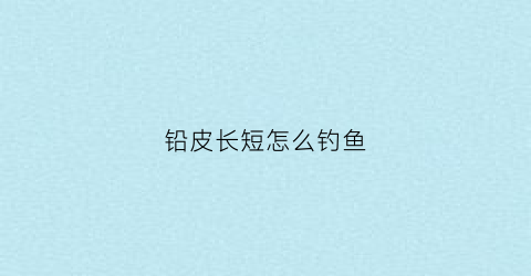 铅皮长短怎么钓鱼