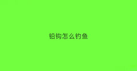 铅钩怎么钓鱼(铅坠钓法)
