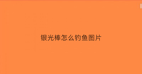 银光棒怎么钓鱼图片(鱼竿银光棒怎么装)