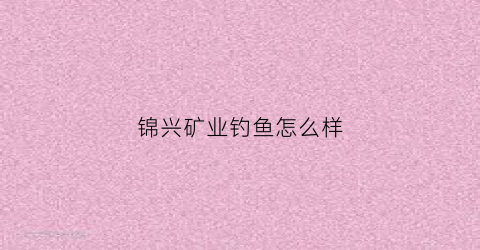锦兴矿业钓鱼怎么样(锦兴能源有限公司怎么样)