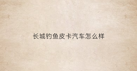 “长城钓鱼皮卡汽车怎么样(钓鱼皮卡什么意思)