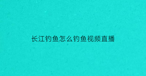 长江钓鱼怎么钓鱼视频直播(长江野钓视频)