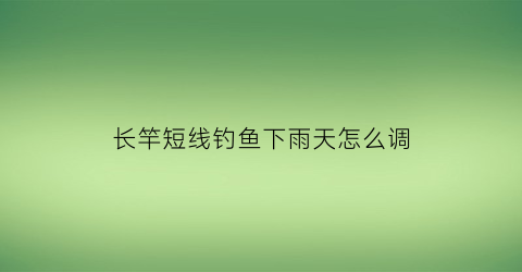 “长竿短线钓鱼下雨天怎么调(长竿短线钓鱼视频)