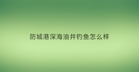 “防城港深海油井钓鱼怎么样(防城港钻井)