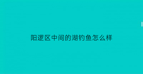 “阳逻区中间的湖钓鱼怎么样(阳逻附近钓场)