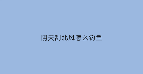阴天刮北风怎么钓鱼(阴天刮北风怎么钓鱼最好)