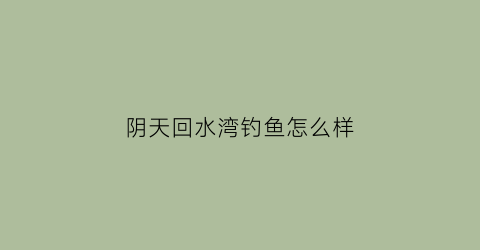 阴天回水湾钓鱼怎么样(冬季回水湾好钓鱼吗)