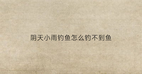 阴天小雨钓鱼怎么钓不到鱼(阴天小雨需要钓底)