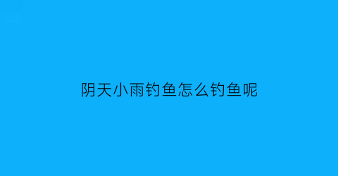 阴天小雨钓鱼怎么钓鱼呢