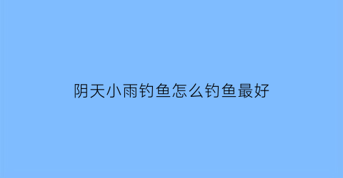 阴天小雨钓鱼怎么钓鱼最好