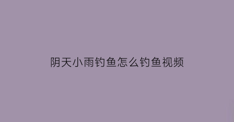 阴天小雨钓鱼怎么钓鱼视频