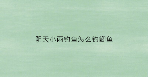 阴天小雨钓鱼怎么钓鲫鱼
