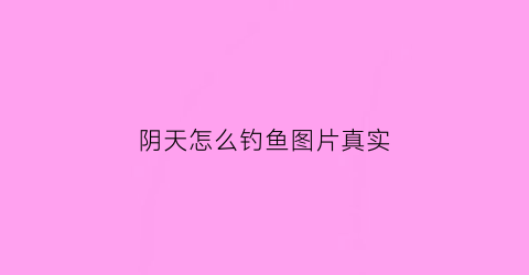 阴天怎么钓鱼图片真实(阴天怎么钓大鱼)