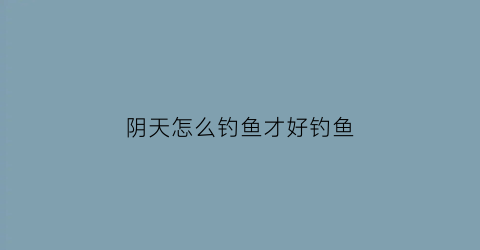 阴天怎么钓鱼才好钓鱼(阴天该怎么钓鱼)